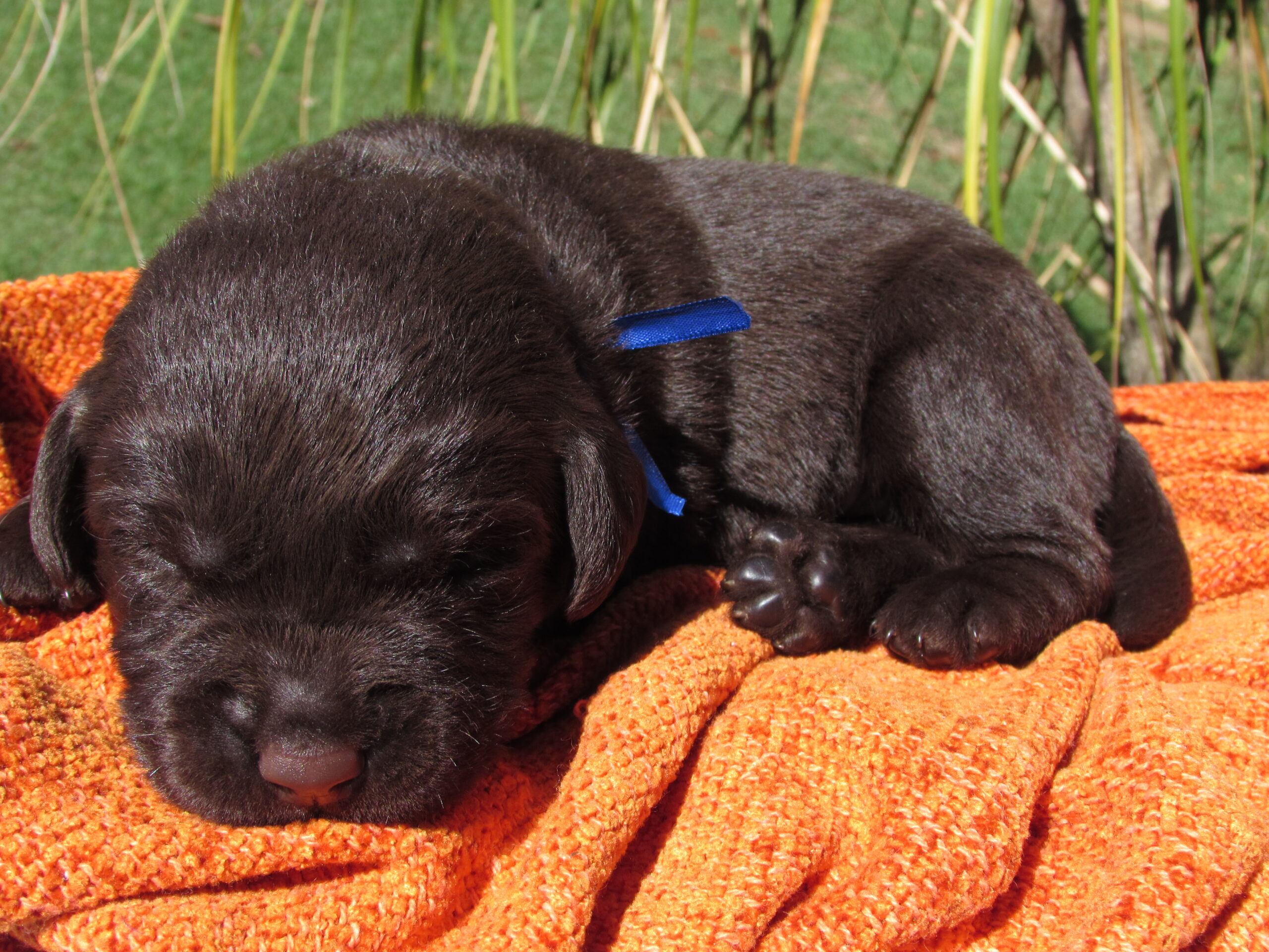 IMG_0620
